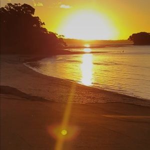 Meet your Posher, Lewis